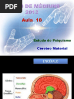 ( Espiritismo) - C M # Aula 18 # Estudo Do Psiquismo - Cerebro Material