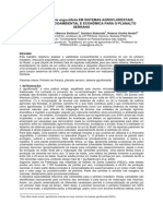 Araucária, Sistema Agroflorestal PDF