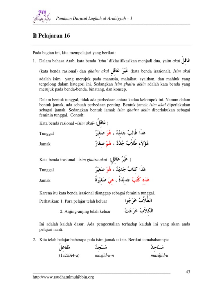 Yuk Simak 11+ Contoh Contoh Kata Benda Feminin Dalam Bahasa Arab Paling Lengkap 