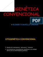 Citogenetica Convencional