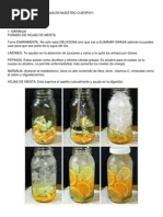 Agua Para Eliminar Grasa en Nuestro Cuerpo