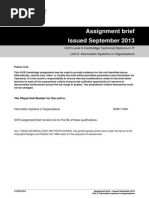  Information Systems in Organisations Assignment Brief