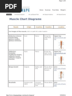 Human Muscle Anatomy Chart | PDF | Human Leg | Arm