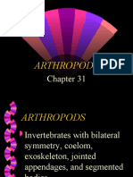 Arthropods