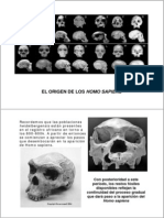 Origen Homo Sapiens