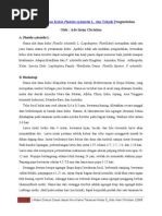 Download Hama Ulat Daun Kubis Plutella Xylostella L by Ade Intan Christian SN226963659 doc pdf