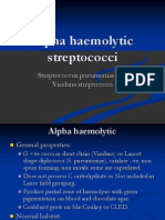 Filename: Alpha Haemolytic