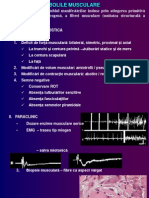 Curs Stud Miopatii