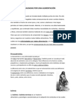 Enfermedades Causadas Por Una Alimentación Inadecuada