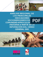 Afro_indicadores_sociodemograficos_censo2005.pdf
