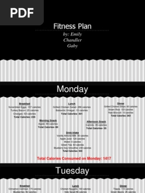 fitness plan