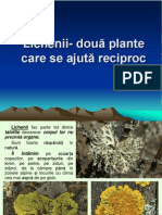 Lectie 20 Lichenii Doua Plante Care Se Ajuta Reciproc