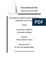 Diversidad+de+la+avifauna+acuática+de+la+cuenca+baja+del+Río Unlocked