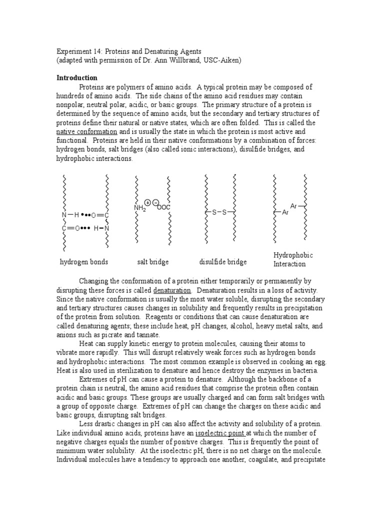 1152 Lab Protein Denaturing Denaturation (Biochemistry) Protein
