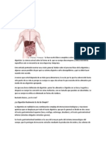 Problemas Digestivos