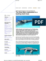 _The Zuiyo Maru Explanation is a Basking Shark Hoax