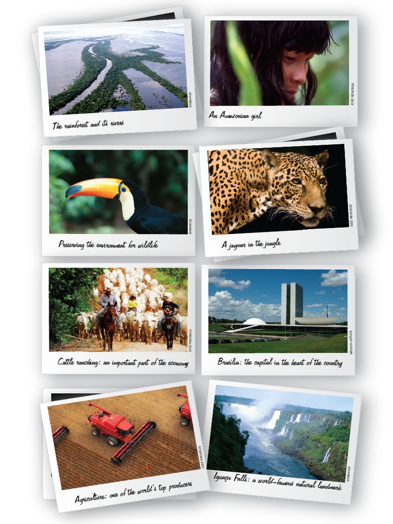 Brazil: Culture, Nature, and Economy | PDF