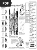 Instruction Chart 10: Drawing, Artist & Mapping Points & Holders