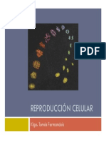 06 - Reproduccion Celular