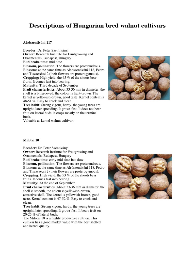Hungarian Walnut Cultivar Overview | PDF | Flowers | Trees