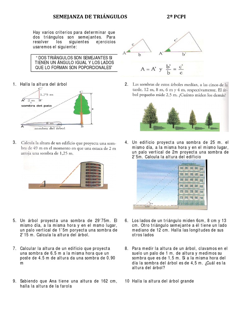 Semejanza De Triangulos Pdf