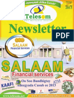 Telesom Newsletter Issue 17 - July 2013