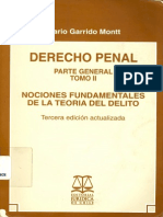Garrido Montt, Mario - Derecho Penal. Tomo II