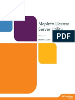 Map Info License Server