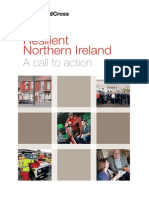 Resilient Northern Ireland a Call to Action