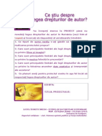 Chestionar Drepturi de Autor