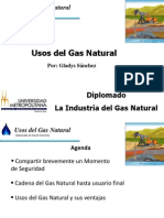 Usosdelgasnatural 100518005428 Phpapp02