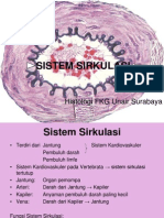 Sistem Sirkulasi Gambar