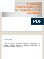 El Modelo Neuropsicológico y Su Aplicación Cognitiva En