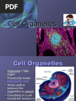 Ansari Abid A Gill Sarvajeet Singh Naeem M Essential Plant Nutrients Uptake Use Efficiency And Management Springer International Publishing 17 Pdf Ion Channel Cell Membrane