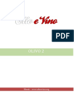 Olivo 2