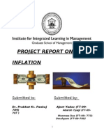 Project Report On Inflation