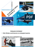 Tap Science Killer Whale Presentation