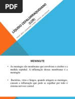 Líquido cefalorraquidiano (LCR)