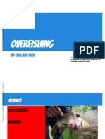 Overfishing Tap 2014