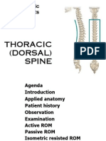 Thoracic Dorsal Spine
