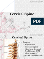 Cervical Spine