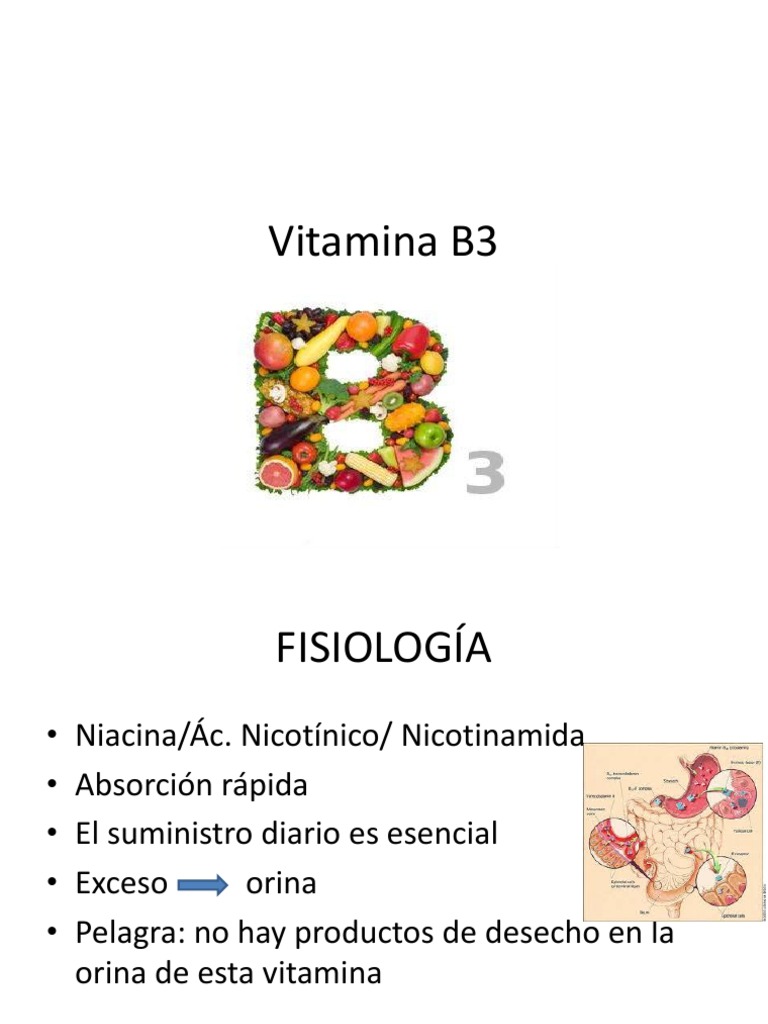Vitamina B3