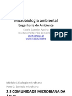 Diversidade Microbiana e Metabolica