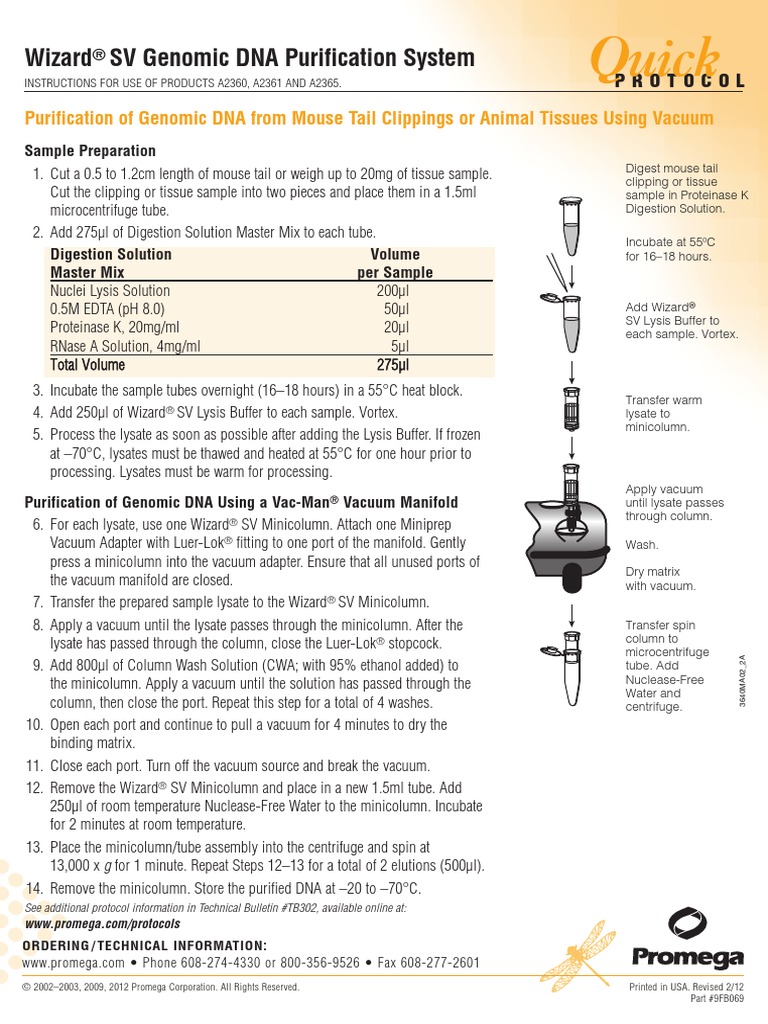 Wizard SV Genomic DNA Purification System Quick Protocol PDF | PDF ...