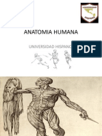 Anatomia Humana Univ Hispano