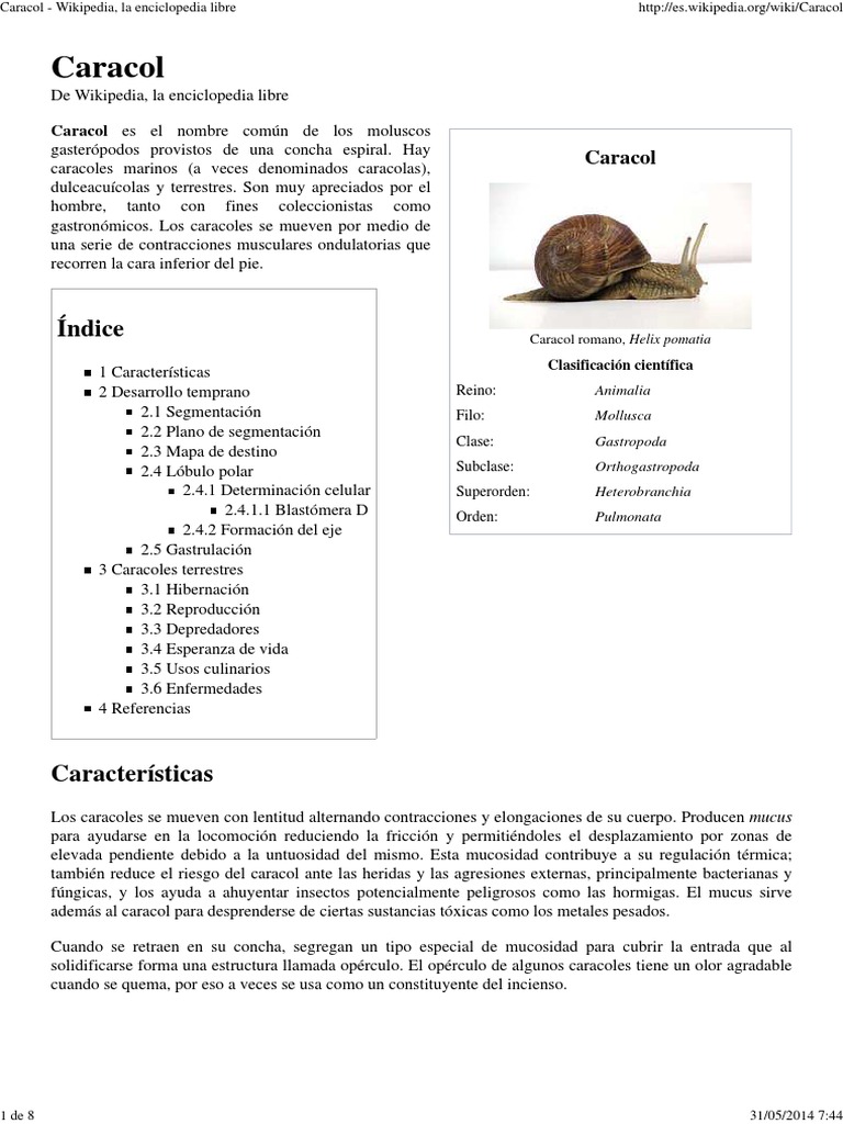Caracal caracal - Wikipedia, la enciclopedia libre