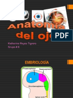 Anatomia Del Globo Ocular