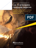 Los_nuevos_riesgos_en_los_negocios.pdf