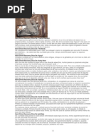 200 Maneiras de Salvar Um Hd