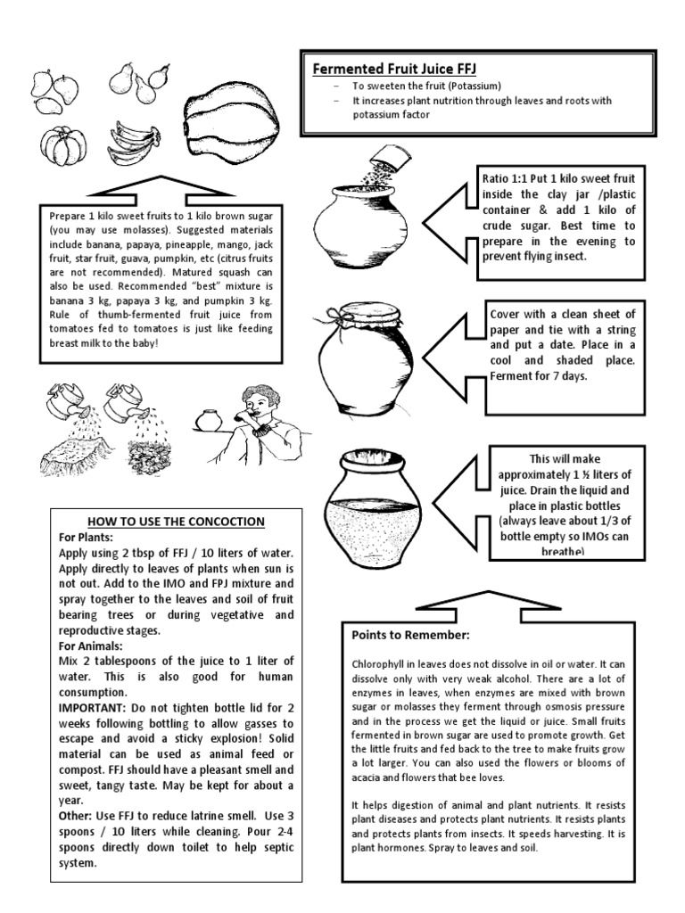 Fermented Fruit Juice Pdf Juice Diet Nutrition